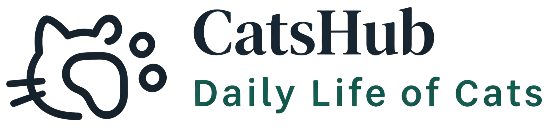 Daily Life of cats