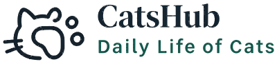 Daily Life of cats