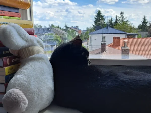 black cat toys cat window perch cat stuffed animal