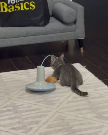 automatic cat toy interactive cat toy rotating cat toy